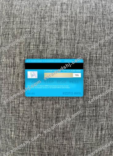 France Groupe BPCE bank visa classic card photolook back